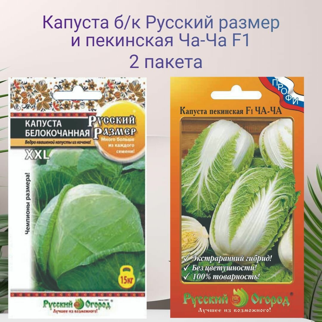Капуста б/к Русский размер и пекинская Ча Ча F1 2 пакета