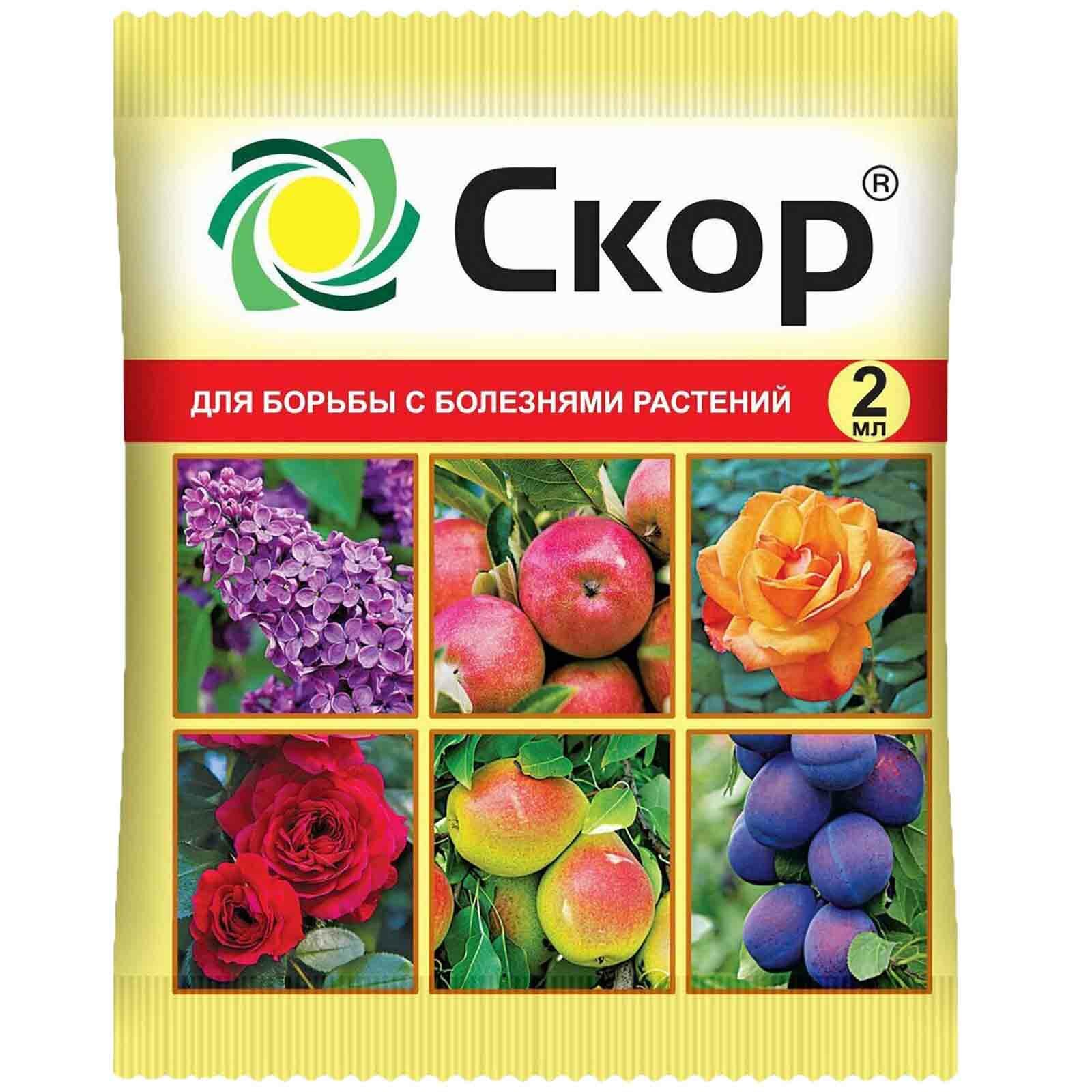 Скор, средство для защиты плодовых и овощных культур от комплекса болезней, 2 мл