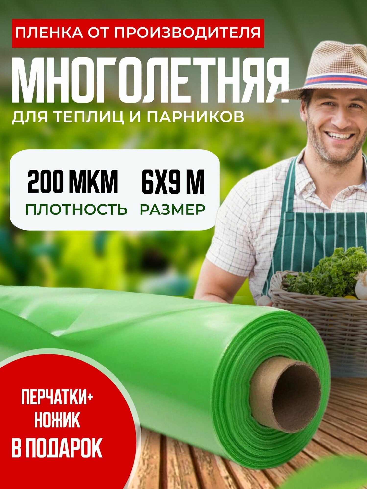 Многолетняя 200