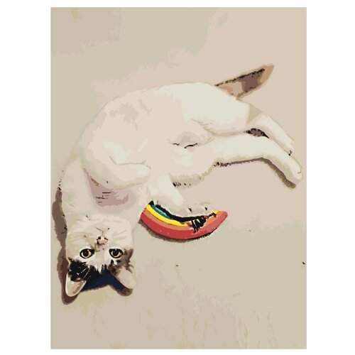 Игривый белый котик Раскраска картина по номерам на холсте