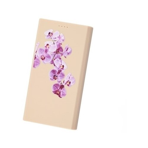 Внешний аккумулятор Interstep 6000 mAh Li-Pol Орхидея роз 151600₽