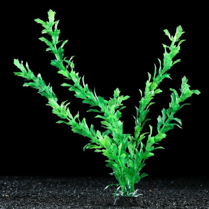 Растение искусственное аквариумное, 4 х 30 см, зелёное - фотография № 5