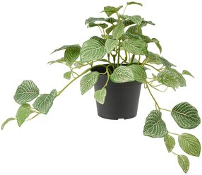 FEJKA фейка искусственное растение в горшке 9 см д/дома/улицы фиттония/подвесной