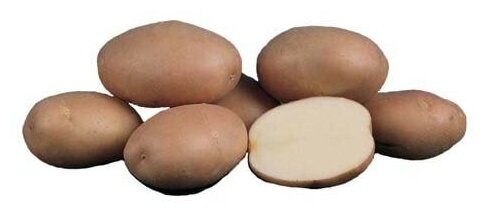 Картофель семенной Романо ( 2 кг в сетке 28-55, элита )