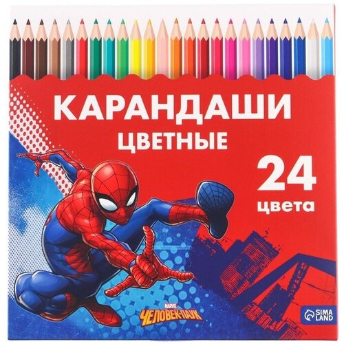 Карандаши 24 цвета 