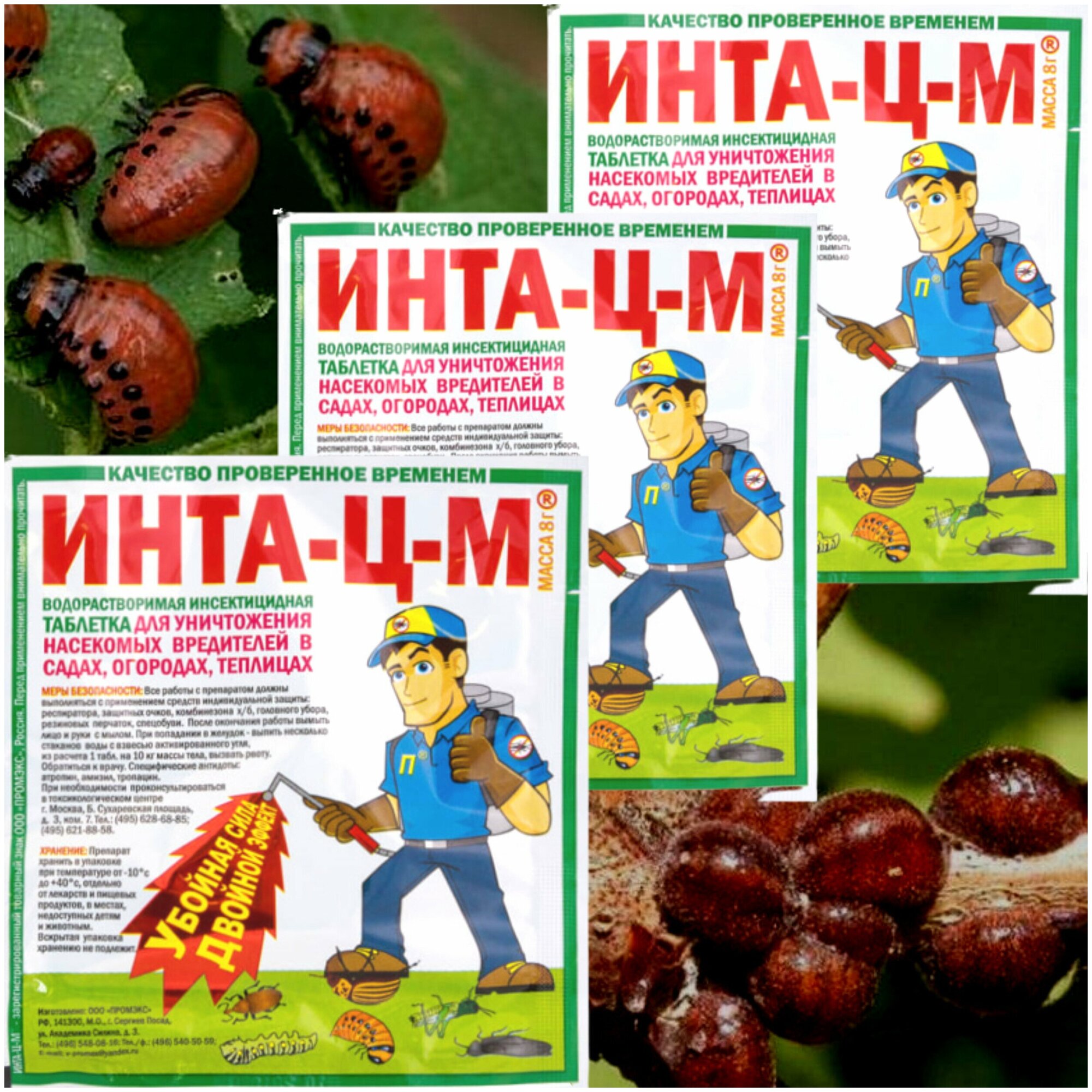 Инта-ЦМ, средство от колорадского жука, тли, трипсов, белокрылки, листогрызущих гусениц - фотография № 2