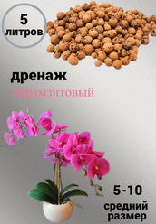 дренаж керамзитовый для цветов и растений фракция 5-10 грунт дренаж 5литра