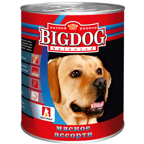 Влажный корм для собак Зоогурман Big Dog, мясное ассорти 1 уп. х 1 шт. х 850 г (для средних и крупных пород)