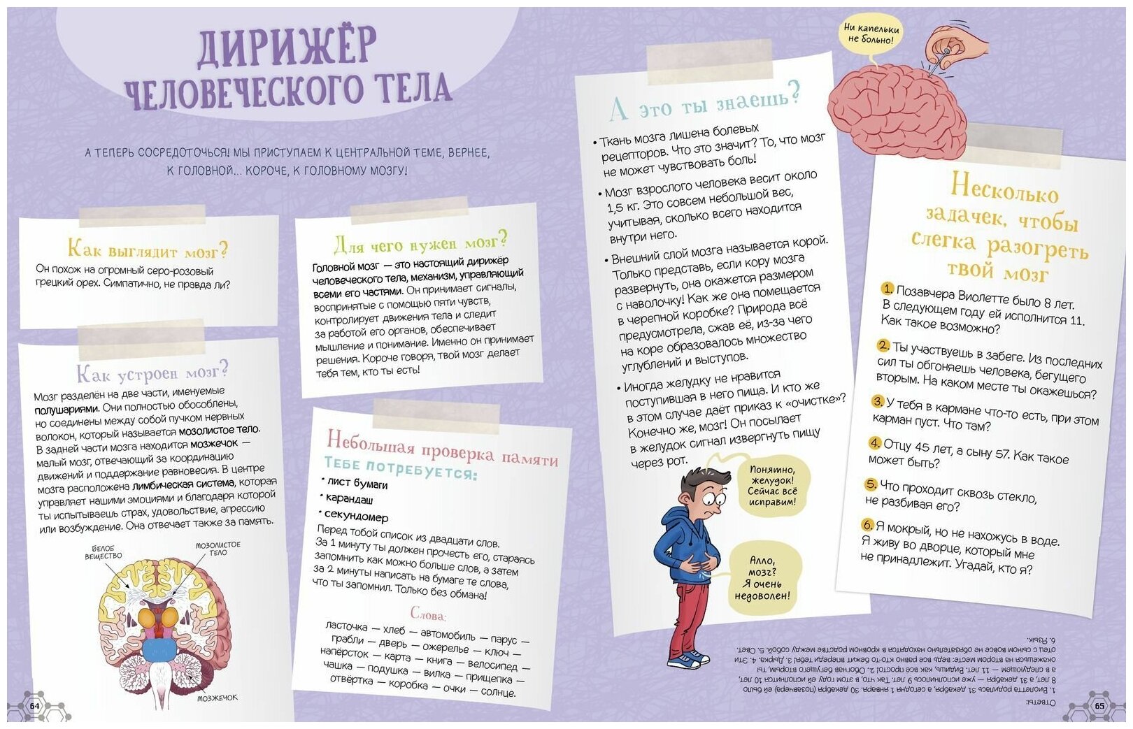 Суперкнига о теле человека (Пари Матильда, Баландина Наталья (переводчик), Бессар Сильви (иллюстратор), Андрио Лаура (иллюстратор)) - фото №8