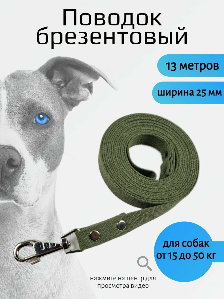 Поводок для собак брезентовый с карабином (Зелёный) 13 м х 25 мм - фотография № 1