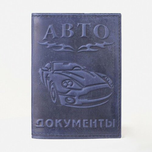 обложка для автодокументов синий Обложка для автодокументов , синий