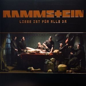 Rammstein - Liebe Ist Fur Alle Da Виниловая пластинка Universal Music - фото №9