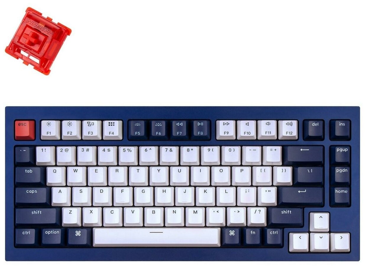 Keychron Q1 Blue Red Switch