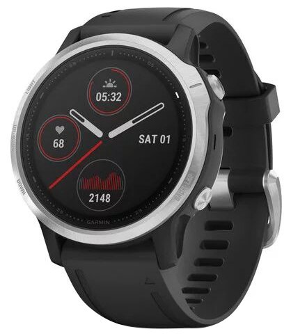 Умные часы Garmin Fenix 6S, серебристый/черный