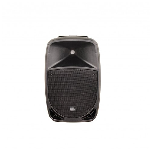 Акустическая система с 2 микрофонами аккумуляторная 120Вт Leem PR-12HR 1784000₽