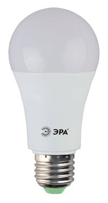 Лампа светодиодная "ЭРА" LED smd A60-13w-840-E27 (холодный свет) / набор 10шт