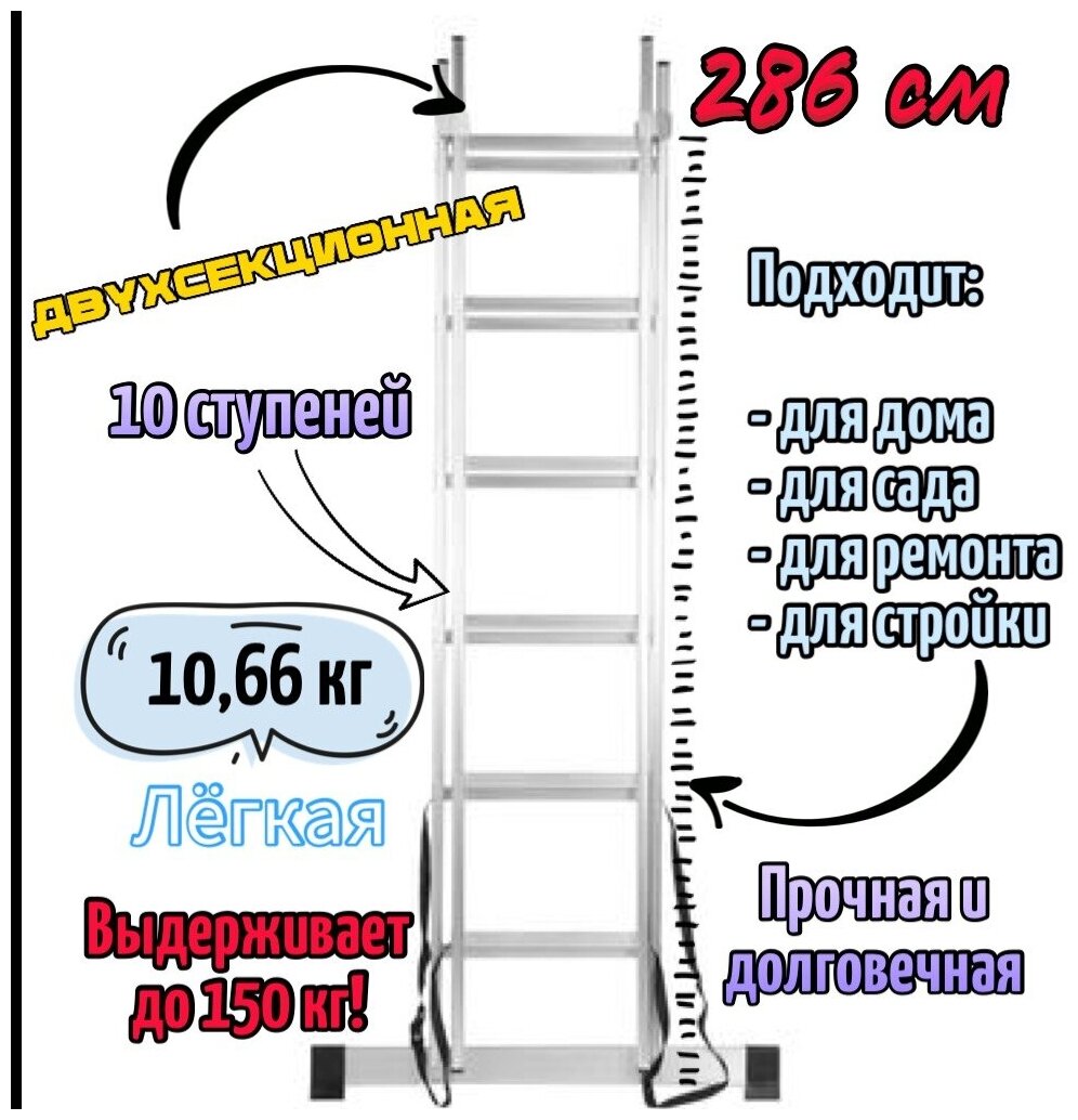 Лестница двухсекционная 2х10 Высота max 486 см