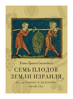 Семь плодов земли Израиля, их духовные и целебные свойства - фото №2