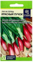 Семена Алтая Семена Лук на зелень "Красный пучок", цп, 0,5 г