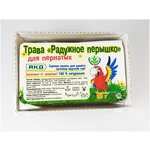 Трава для пернатых, набор для выращивания травы Радужное перышко АКД, 30 гр - изображение