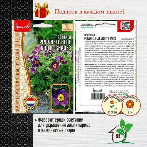 Прострел Pinwheel Blue Violet Shades (2 упаковки)