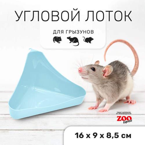 Zooexpress туалет лоток для грызунов угловой в клетку 16х9х8,5 см (светло-голубой)