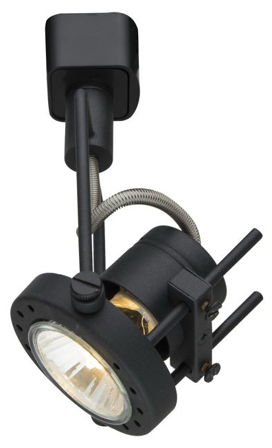 Светильник потолочный Arte Lamp A4300PL-1BK