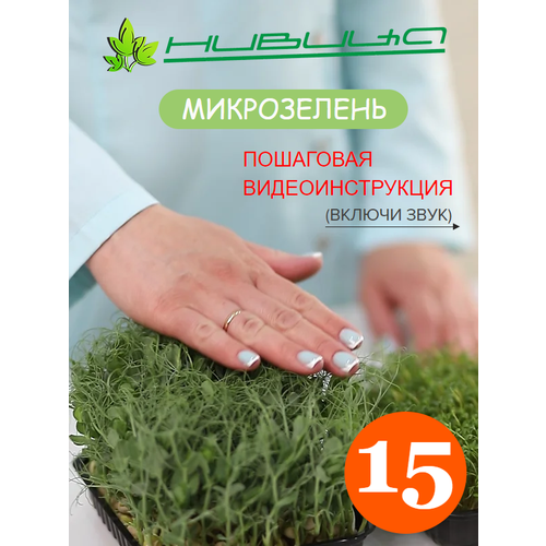 Микрозелень. Набор для выращивания "нивица" 15 Урожаев