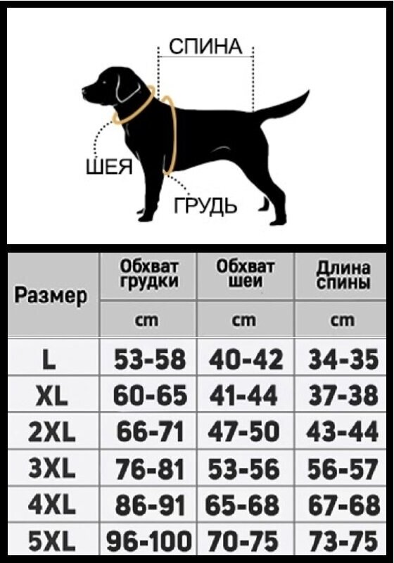 Дождевик для собак 3XL - фотография № 2