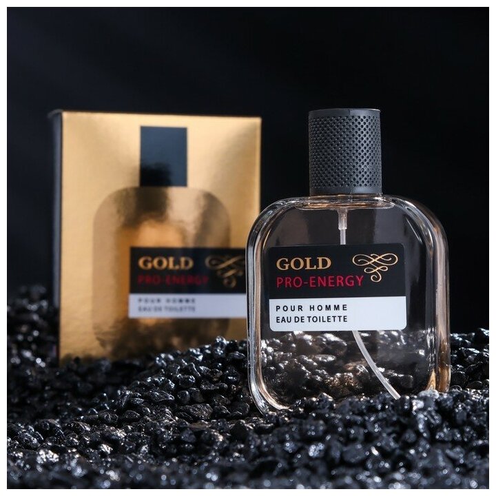 Delta PARFUM Туалетная вода мужская Pro-Energy Gold, 100 мл (по мотивам 1 Million (P.Rabanne)