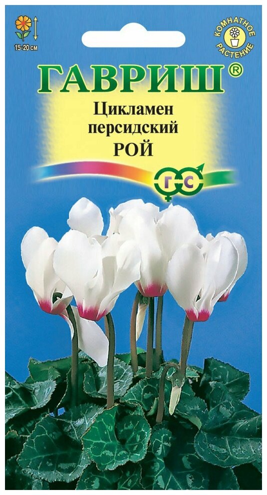 Семена цветов Цикламен "Рой", персидский, 3 шт. - фотография № 9