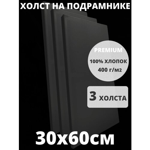 Холст на подрамнике грунтованный 30х60 см, плотность 400 г/м2 для рисования 2 шт