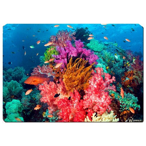 фото Игровой коврик для мыши подводный мир, рыбки, коралы drabs