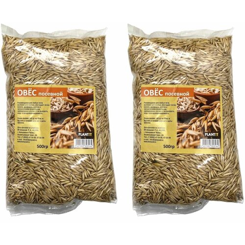 Овес посевной сидерат 500 гр 2 шт 290₽