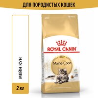 Лучшие Сухие корма Royal Canin для котят до 12 месяцев