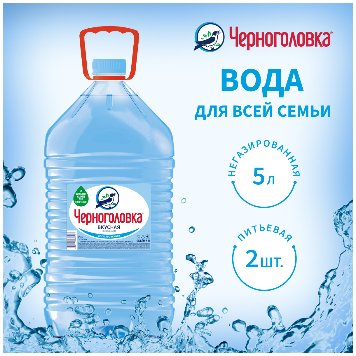 Вода питьевая негаз. Черноголовка 5 л ПЭТ (2 шт)