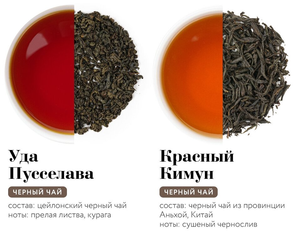 Подарочный набор "Чайная Классика" с 8 сортами чая и емкостями, черный чай - фотография № 6