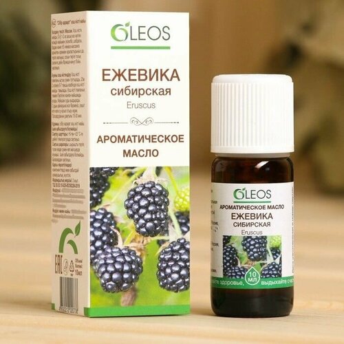 Ароматическое масло Ежевика Сибирская 10 мл 876₽