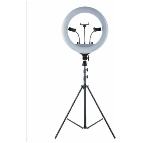 Кольцевая лампа с держателем для смартфона и пультом ДУ RL14 351800₽