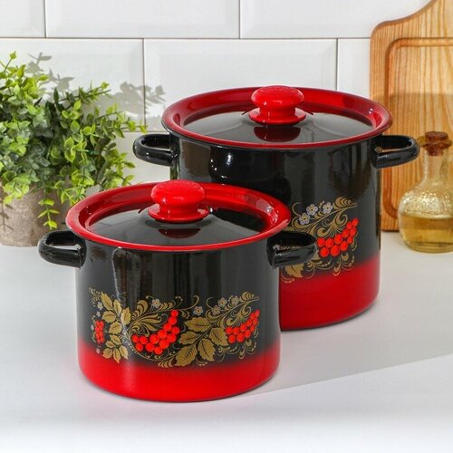 Набор кастрюль Рябинка 2 предмета 35 л 55 л эмалированные крышки индукция 3599₽