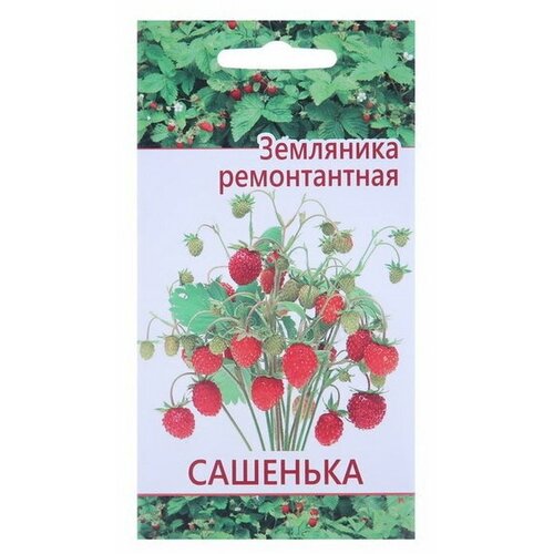 Семена "Растет дома и на даче" Земляника Сашенька 10 шт, 3 шт.