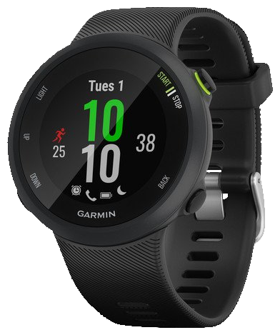 Умные часы Garmin Forerunner 45s, черный