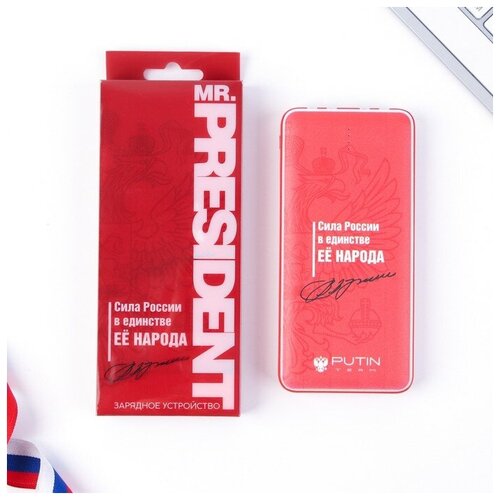 Зарядное устройство Сила России 8000мА модель PB-15 145 х 69 см 319200₽