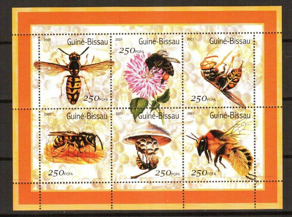 Гвинея-Биссау, 2001. Насекомые (мл)