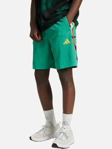 Изображение товара Шорты спортивные House of Tiro Nations Pack Shorts