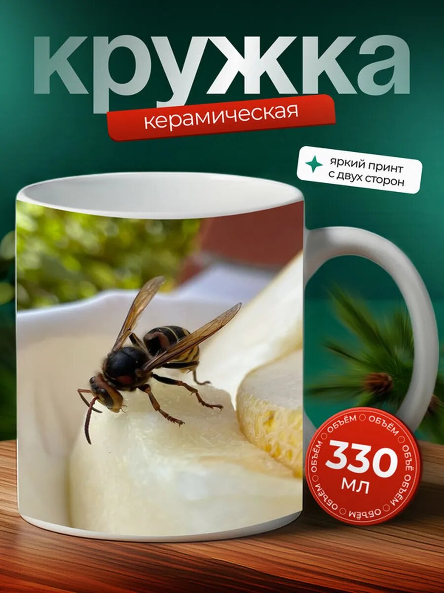 Кружка Оса насекомое 11,
