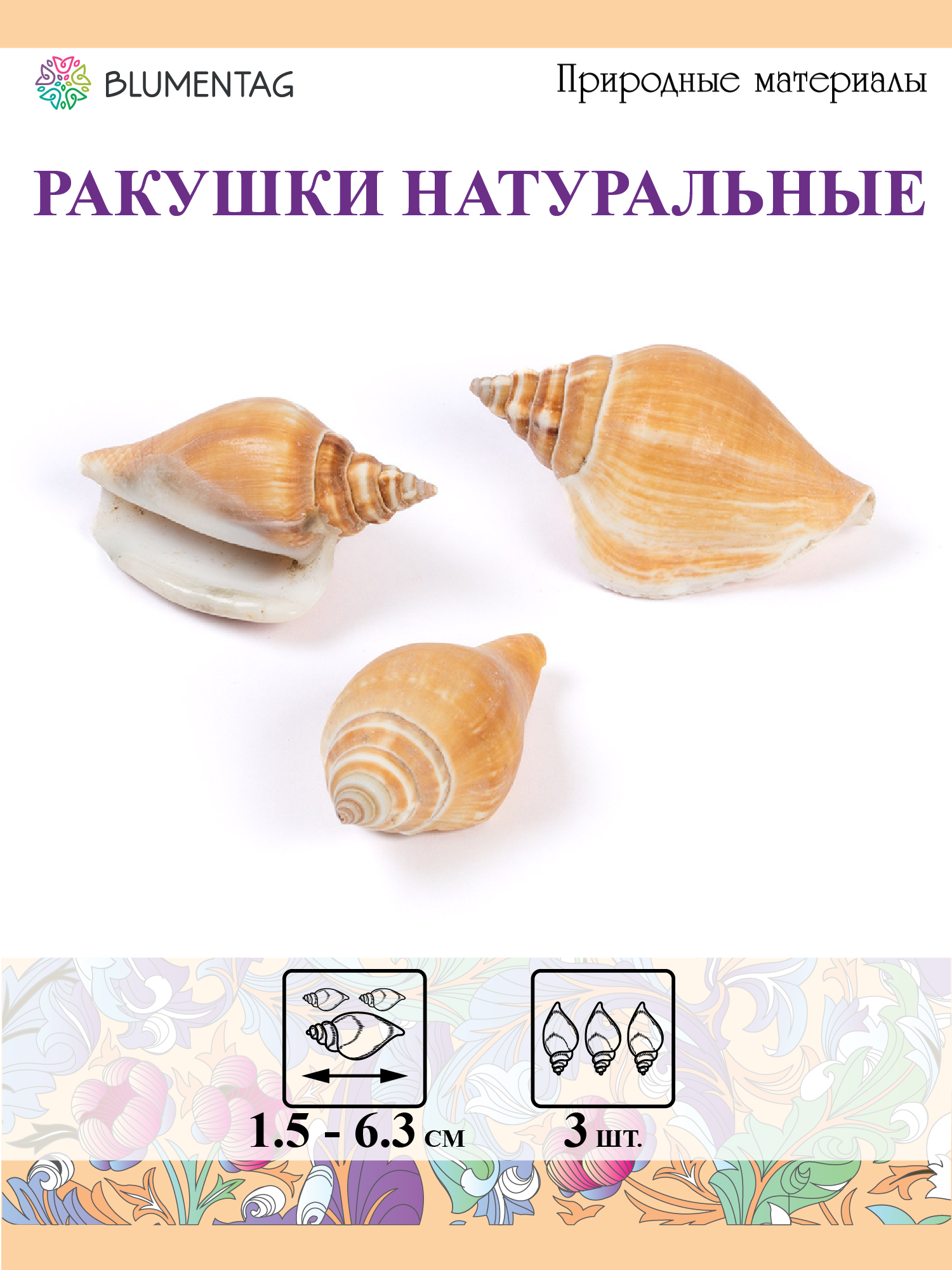 Ракушки морские 3 шт. "Blumentag" DRF-017 Strombus Canarium