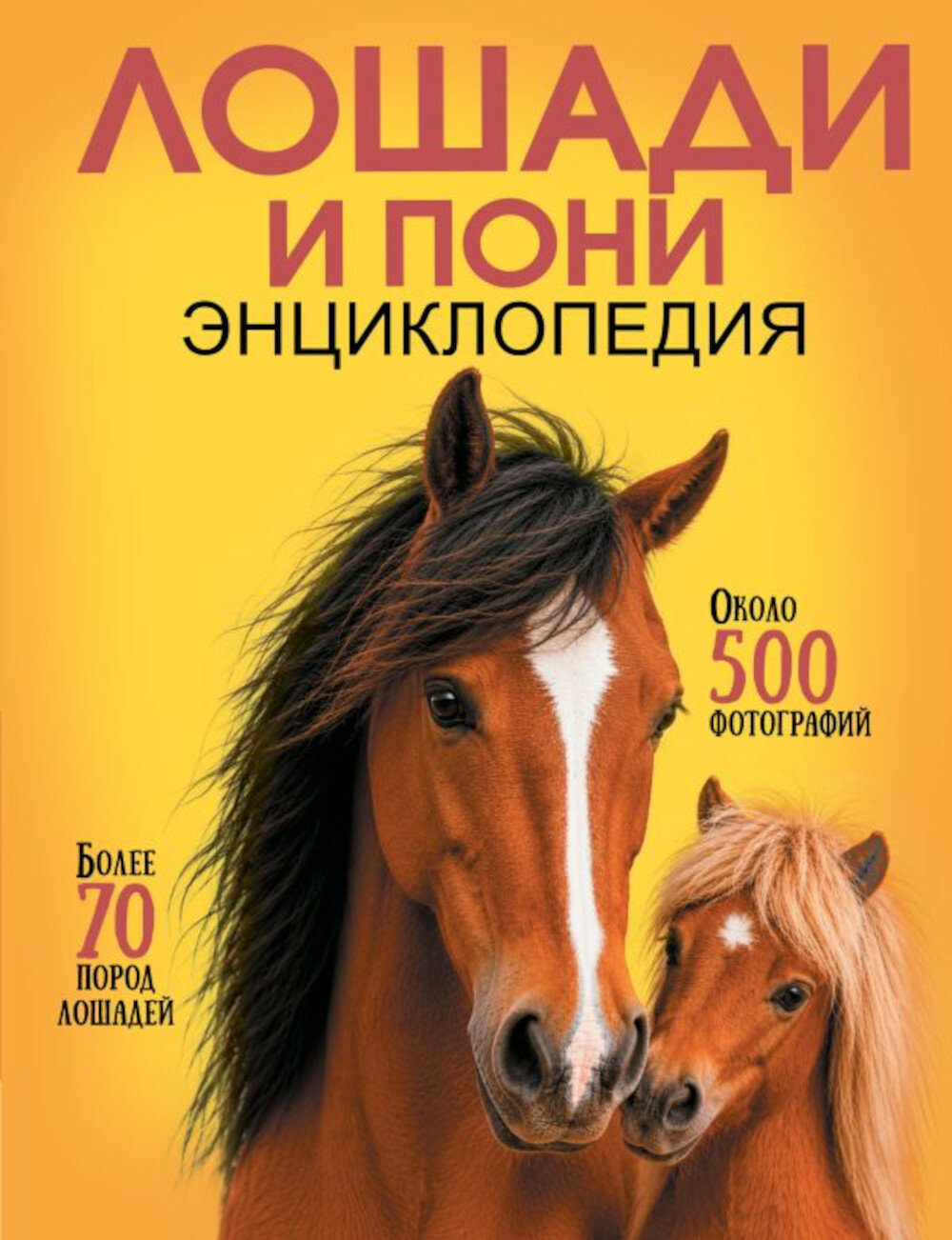 Самая лучшая иллюстрированная энциклопедия. Лошади и пони. Спектор А. А.