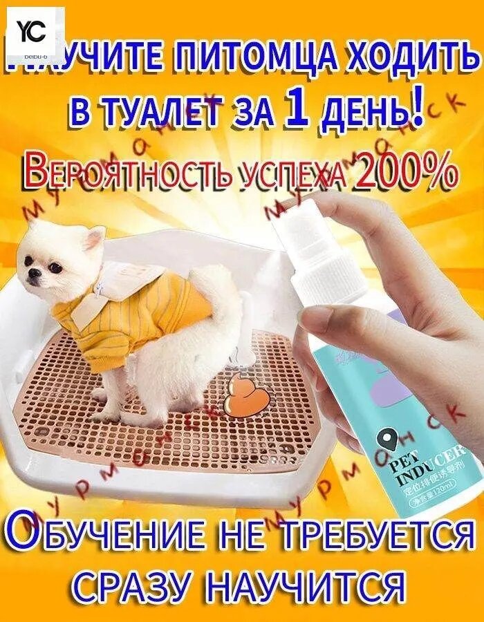 Спрей для приучения к туалету кошек/спрей для приучения к туалету собак/Корректор поведения для животных 240ml