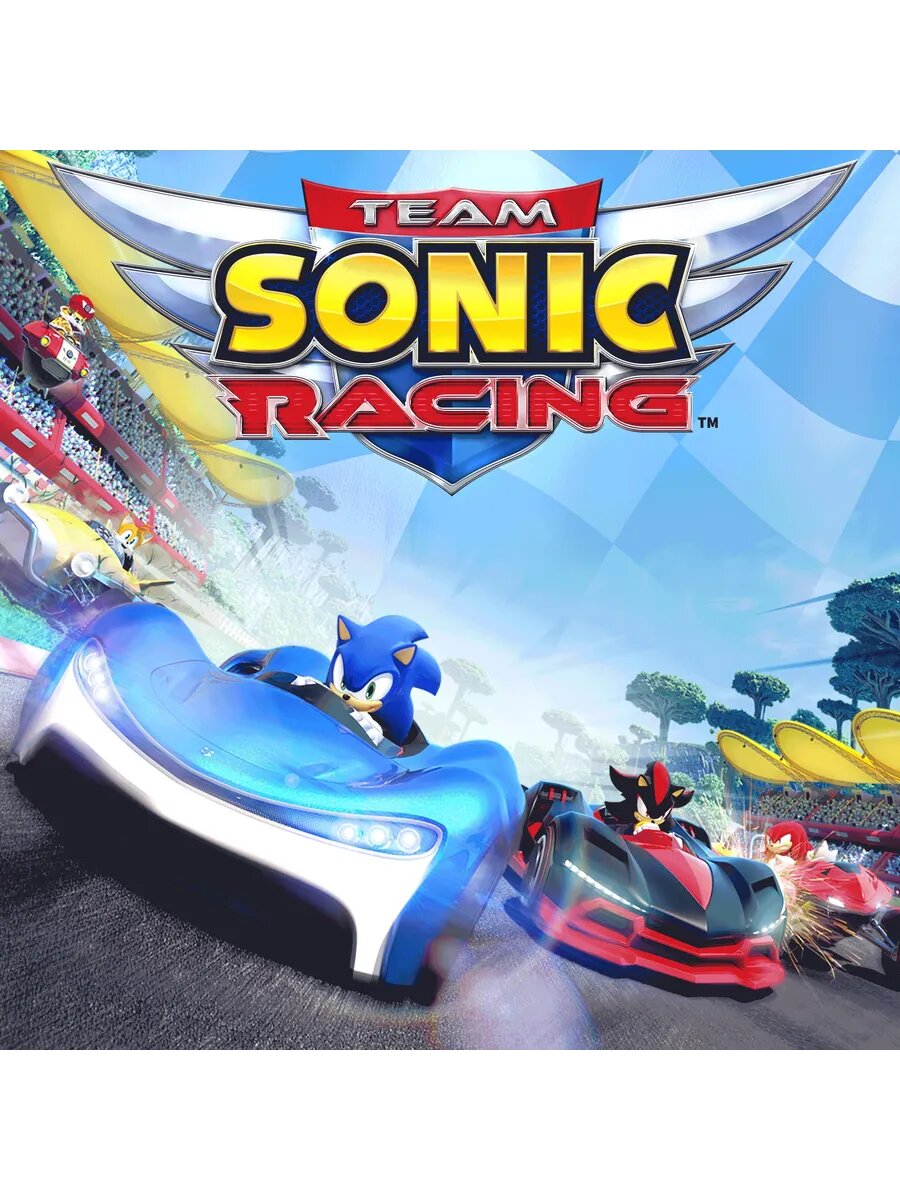 Team Sonic Racing PS4 & PS5